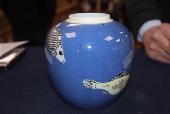 A Chinese powder blue and ground fish jar, 19th century